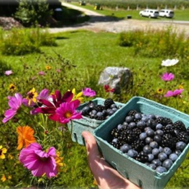 Farm Photo 12